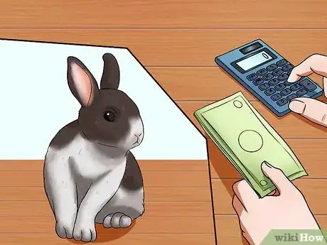 Image intitulée Make Sure Your Rabbit Has the Best Life You Can Give It Step 2