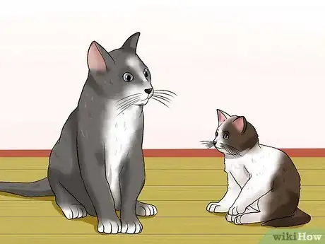 Image intitulée Get a Cat to Stop Meowing Step 5