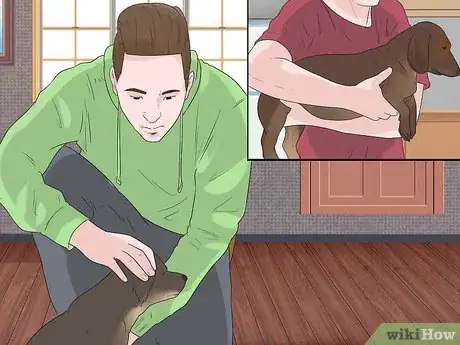 Image intitulée Pick up a Dog Properly Step 5