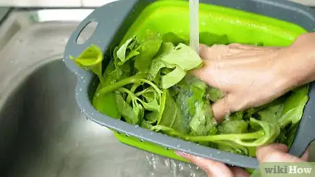 Image intitulée Freeze Spinach Step 16