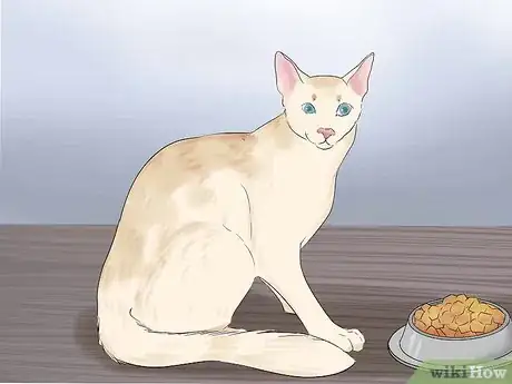 Image intitulée Get Your Cat to Know and Love You Step 9