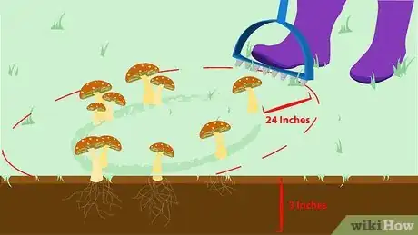 Image intitulée Kill Mushrooms Step 14