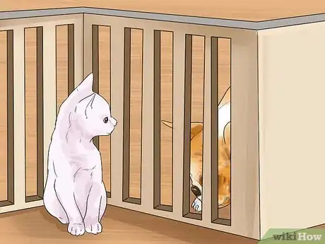 Image intitulée Make Your Dog Like Your Cat Step 13