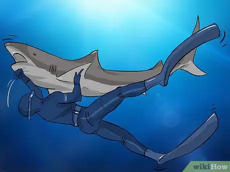 Image intitulée Fish for Shark Step 18