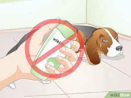 Image intitulée Clean Gunk from Your Dog's Eyes Step 9