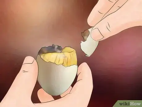 Image intitulée Eat Balut Step 9