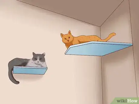 Image intitulée Encourage Multiple Cats to Get Along with Each Other Step 6