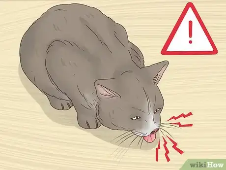Image intitulée Help a Cat Cough Up a Hairball Step 16