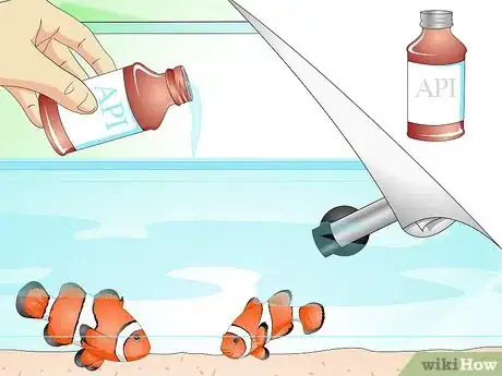 Image intitulée Tell if Your Fish Is Sick Step 16