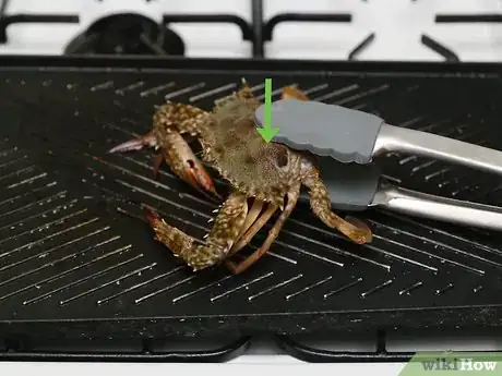 Image intitulée Cook a Crab Step 14