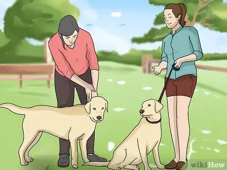 Image intitulée Introduce a New Dog to Your House and Other Dogs Step 13