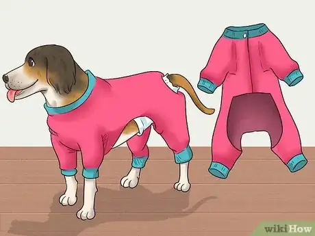 Image intitulée Keep Diapers on a Dog Step 3
