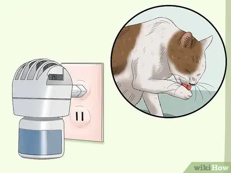 Image intitulée Stop a Cat from Pulling Its Hair Out Step 10