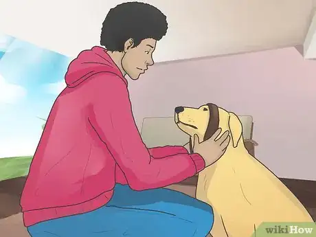 Image intitulée Introduce a New Dog to Your House and Other Dogs Step 31