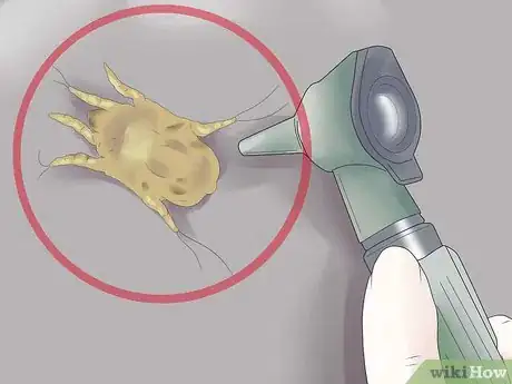 Image intitulée Remove Ear Mites from a Dog Step 16