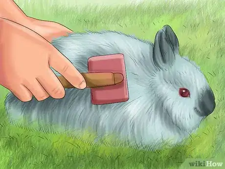 Image intitulée Raise a Lop Eared Rabbit As a Pet Step 20