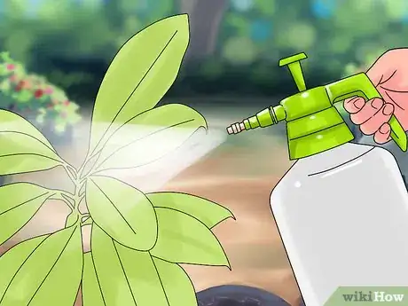 Image intitulée Make Organic Pesticide Step 17
