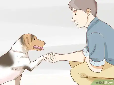 Image intitulée Train Your Service Dog Without a Professional Trainer Step 3