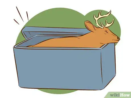Image intitulée Clean a Deer Step 11