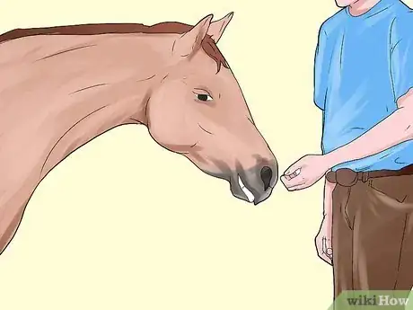 Image intitulée Befriend a Horse Step 3