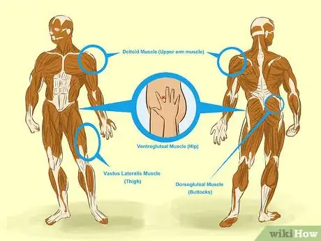 Image intitulée Give an Intramuscular Injection Step 11