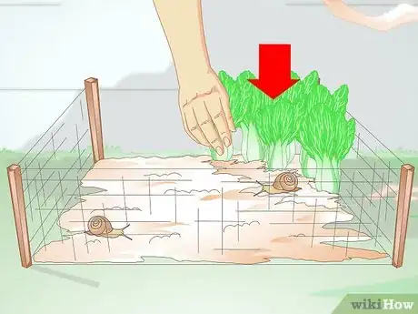 Image intitulée Build a Snail House Step 5