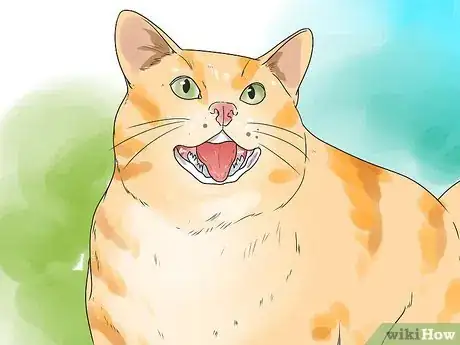 Image intitulée Help Your Cat Breathe Easier Step 8