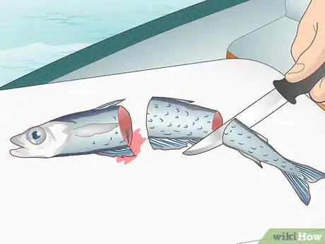 Image intitulée Catch Bluefin Tuna Step 2