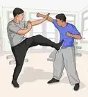 apprendre le Kung Fu tout seul