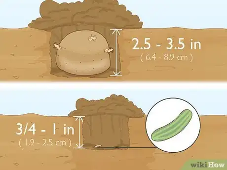 Image intitulée Grow Your Own Food Step 9