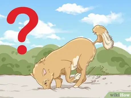 Image intitulée Stop a Dog from Digging Step 1