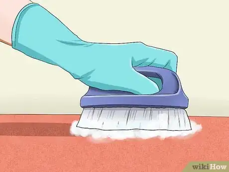 Image intitulée Remove Cat Urine Smell Step 10