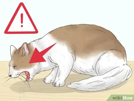 Image intitulée Help a Cat Cough Up a Hairball Step 15