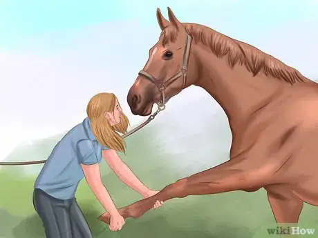 Image intitulée Get Your Horse to Trust and Respect You Step 13