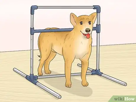 Image intitulée Measure Dog Height Step 7