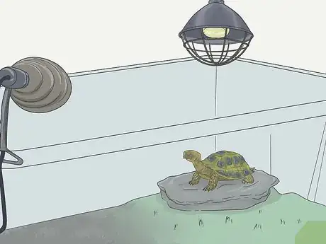 Image intitulée Make A Habitat for Hermann’s Tortoises Step 7