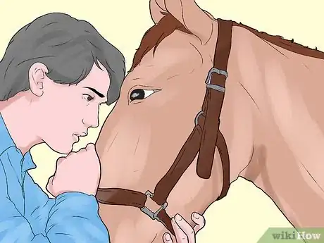 Image intitulée Befriend a Horse Step 7