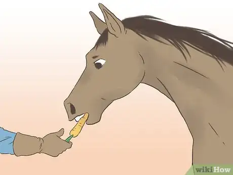 Image intitulée Get a Horse Fit Step 16