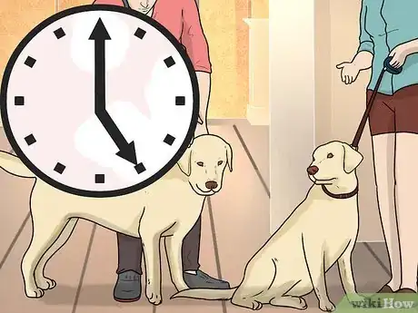 Image intitulée Introduce a New Dog to Your House and Other Dogs Step 32