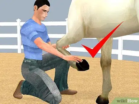 Image intitulée Look After a Horse Step 10
