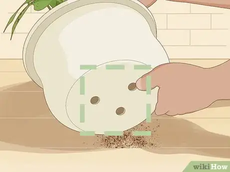 Image intitulée Save an Overwatered Plant Step 5