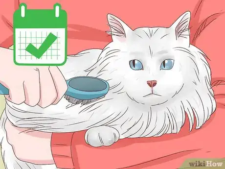 Image intitulée Help a Cat Cough Up a Hairball Step 19