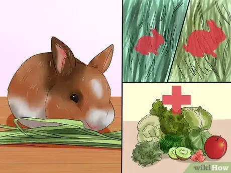Image intitulée Make Sure Your Rabbit Has the Best Life You Can Give It Step 7