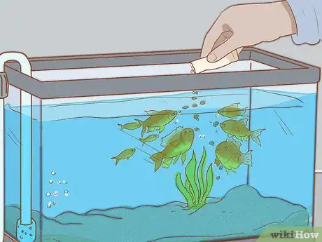 Image intitulée Add Fish to a New Tank Step 15