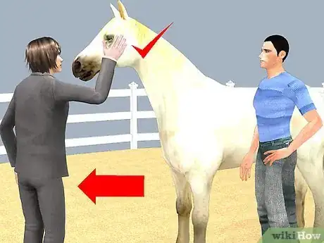 Image intitulée Look After a Horse Step 12