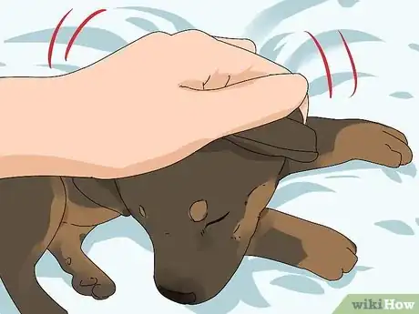 Image intitulée Take Care of Puppies Step 12