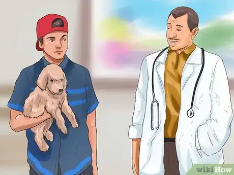 Image intitulée Prevent Parvovirus in Dogs Step 10