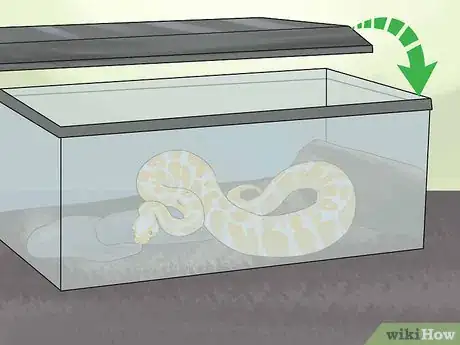Image intitulée Hold a Snake Step 13