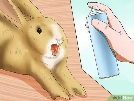 Image intitulée Introduce Rabbits Step 10