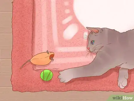 Image intitulée Prevent Cats from Eating Plants Step 11